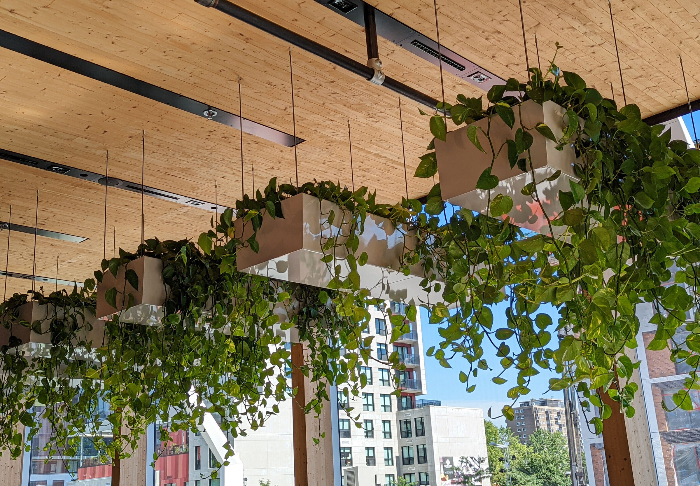 https://archello.com/story/127764/attachments/photos-videos/18 photo_credit Steve Montpetit