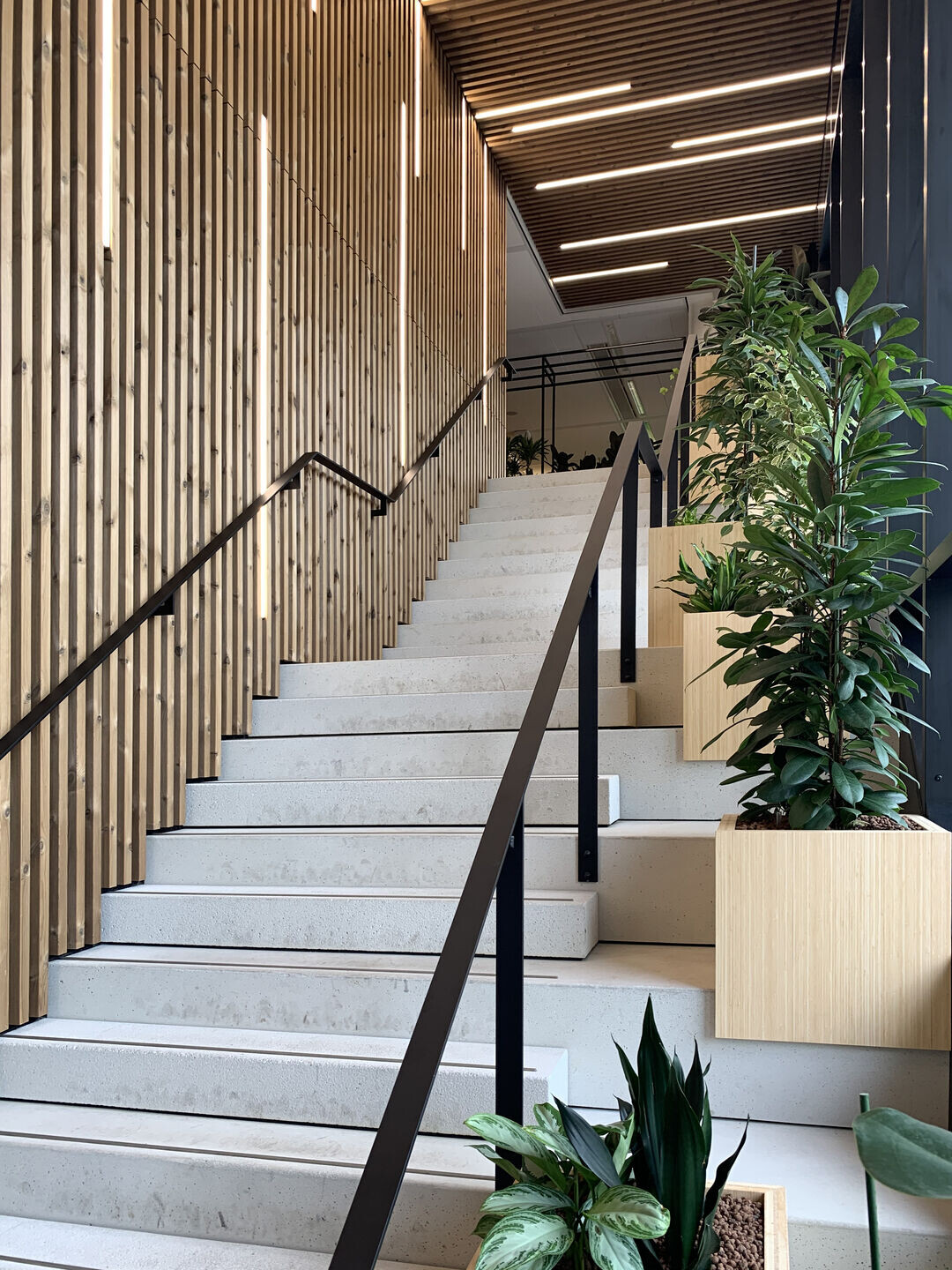 https://archello.com/story/128235/attachments/photos-videos/4 photo_credit RU+PA