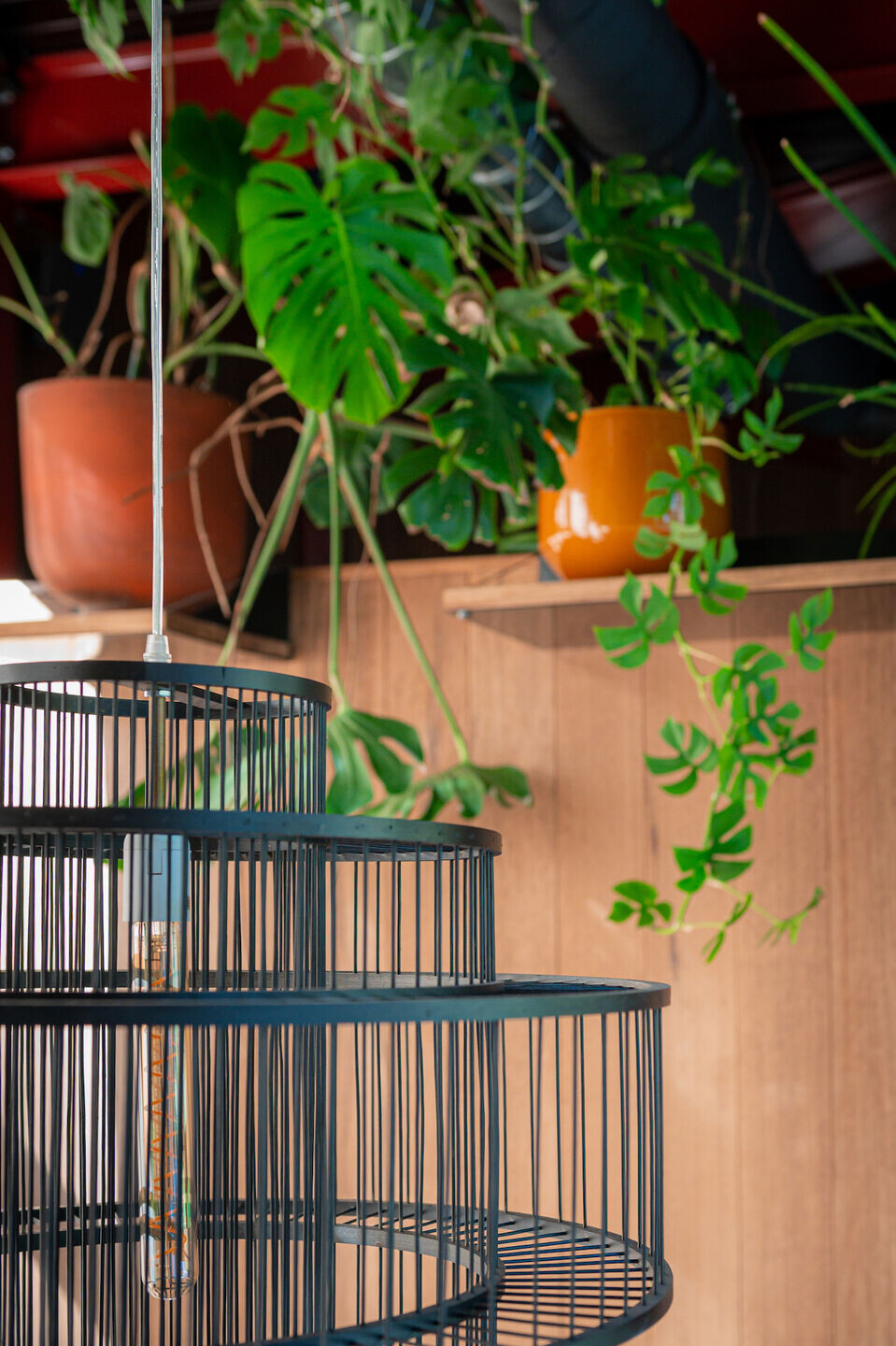 https://archello.com/story/128396/attachments/photos-videos/26 photo_credit Kirsten Bos