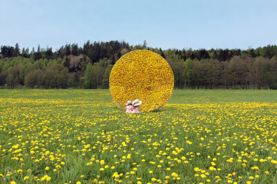 Dandelion Hut