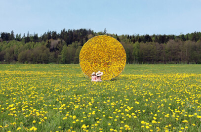 Dandelion Hut