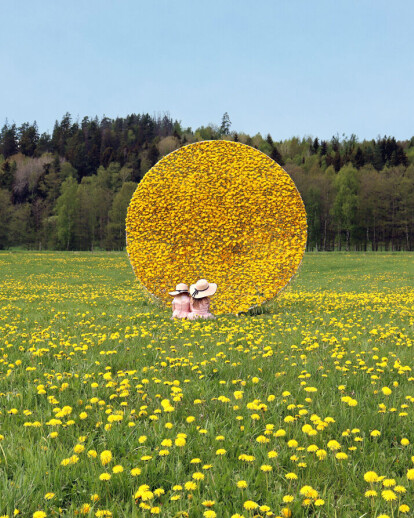 Dandelion Hut