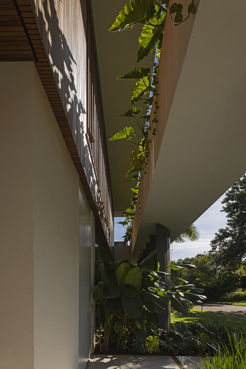 https://archello.com/story/129366/attachments/photos-videos/6 photo_credit LEONARDO FINOTTI