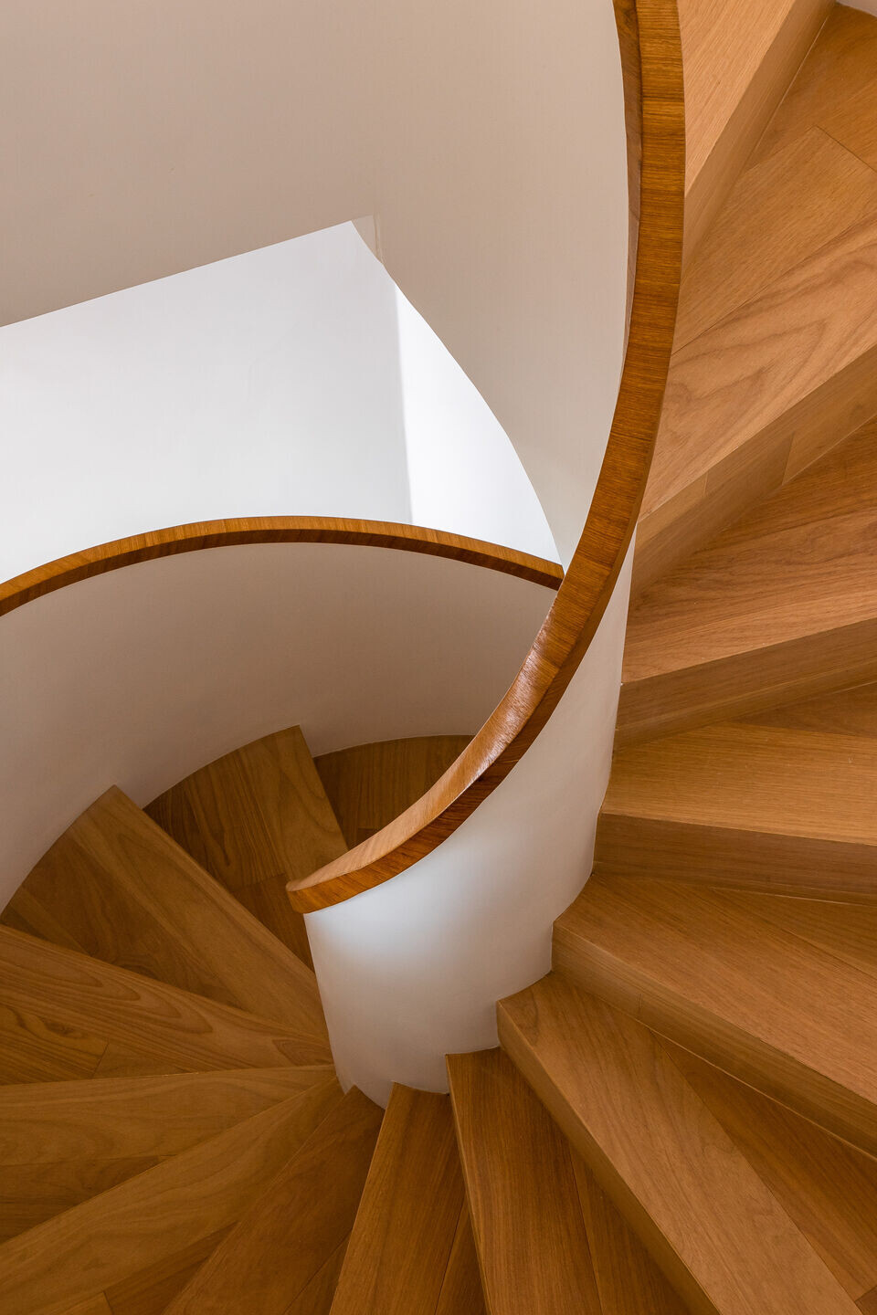https://archello.com/story/129400/attachments/photos-videos/6 photo_credit Manuel Sá