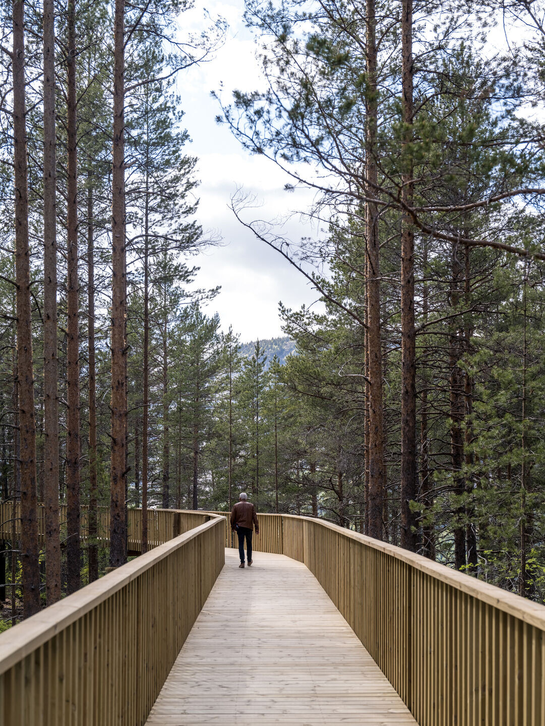 https://archello.com/story/129603/attachments/photos-videos/3 photo_credit Rasmus Hjortshøj