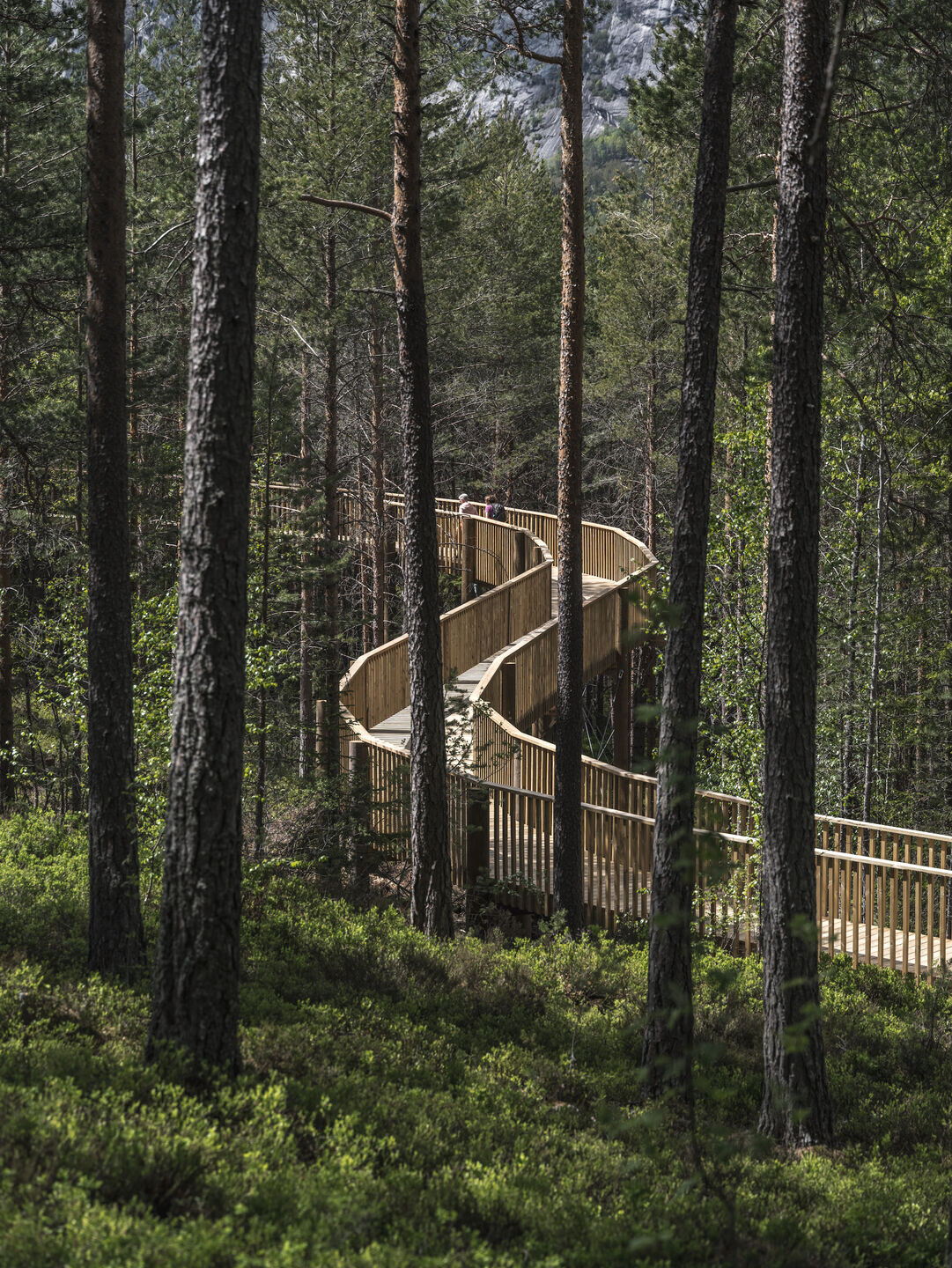 https://archello.com/story/129603/attachments/photos-videos/5 photo_credit Rasmus Hjortshøj