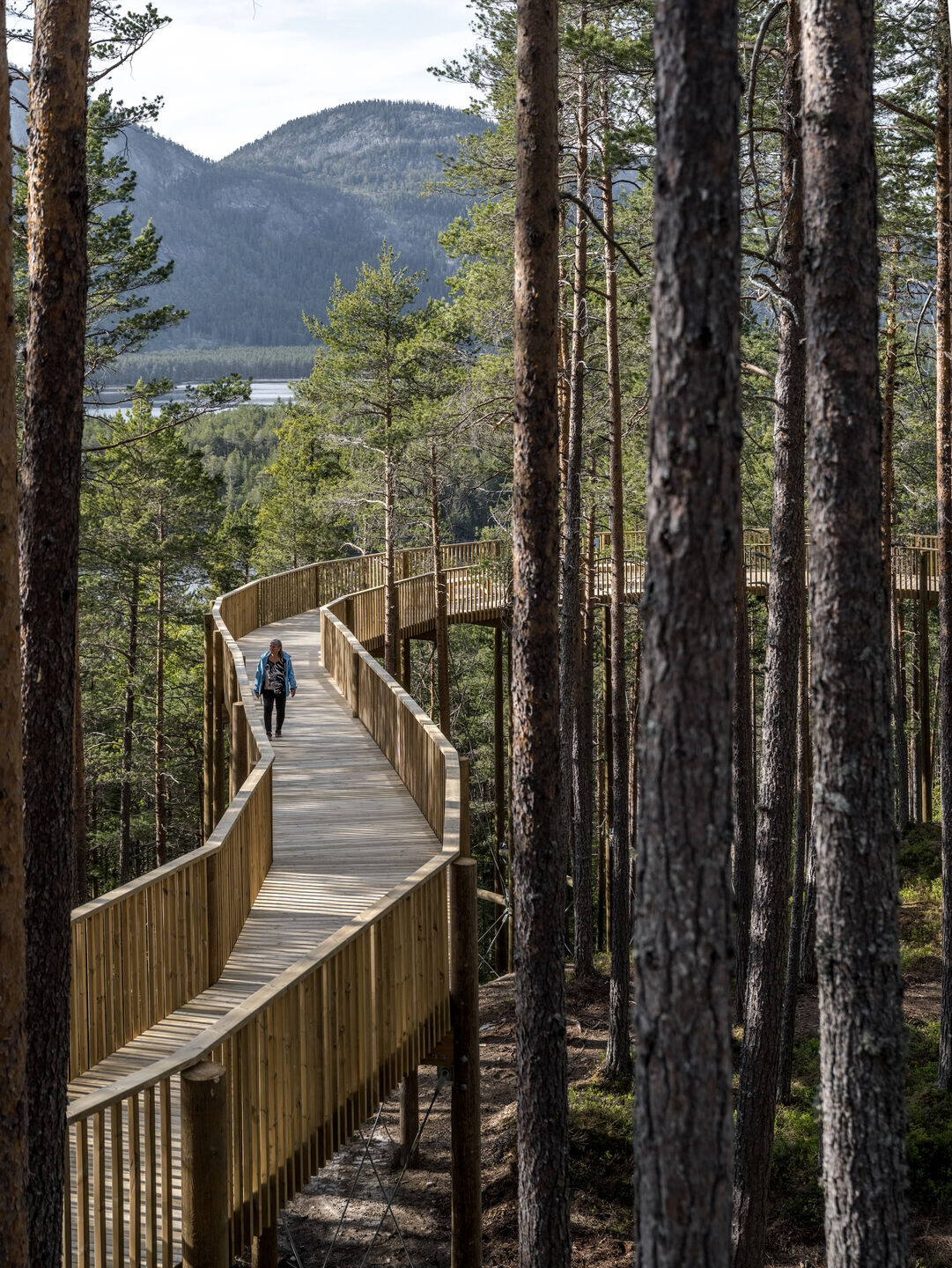 https://archello.com/story/129603/attachments/photos-videos/8 photo_credit Rasmus Hjortshøj