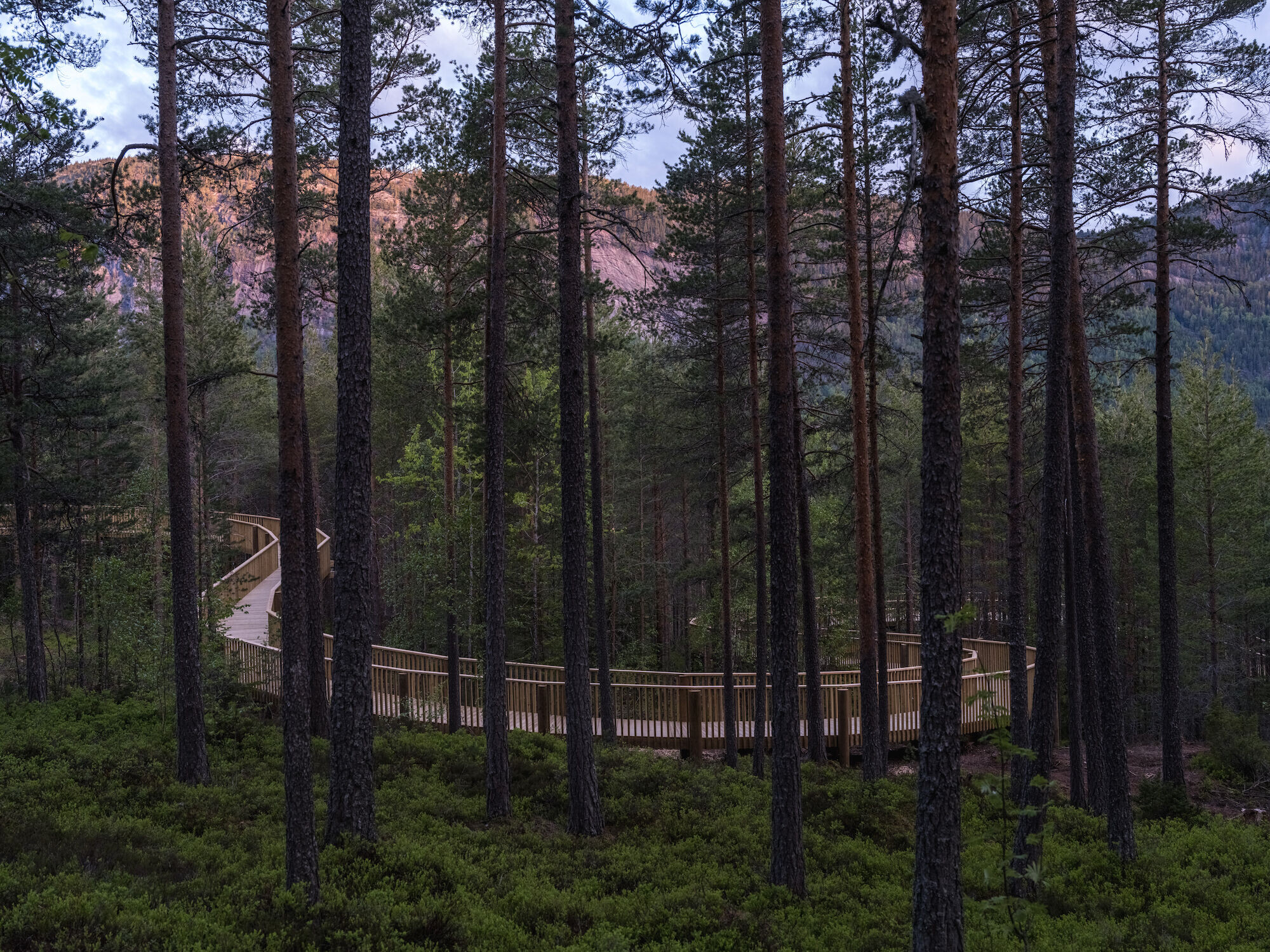 https://archello.com/story/129603/attachments/photos-videos/19 photo_credit Rasmus Hjortshøj