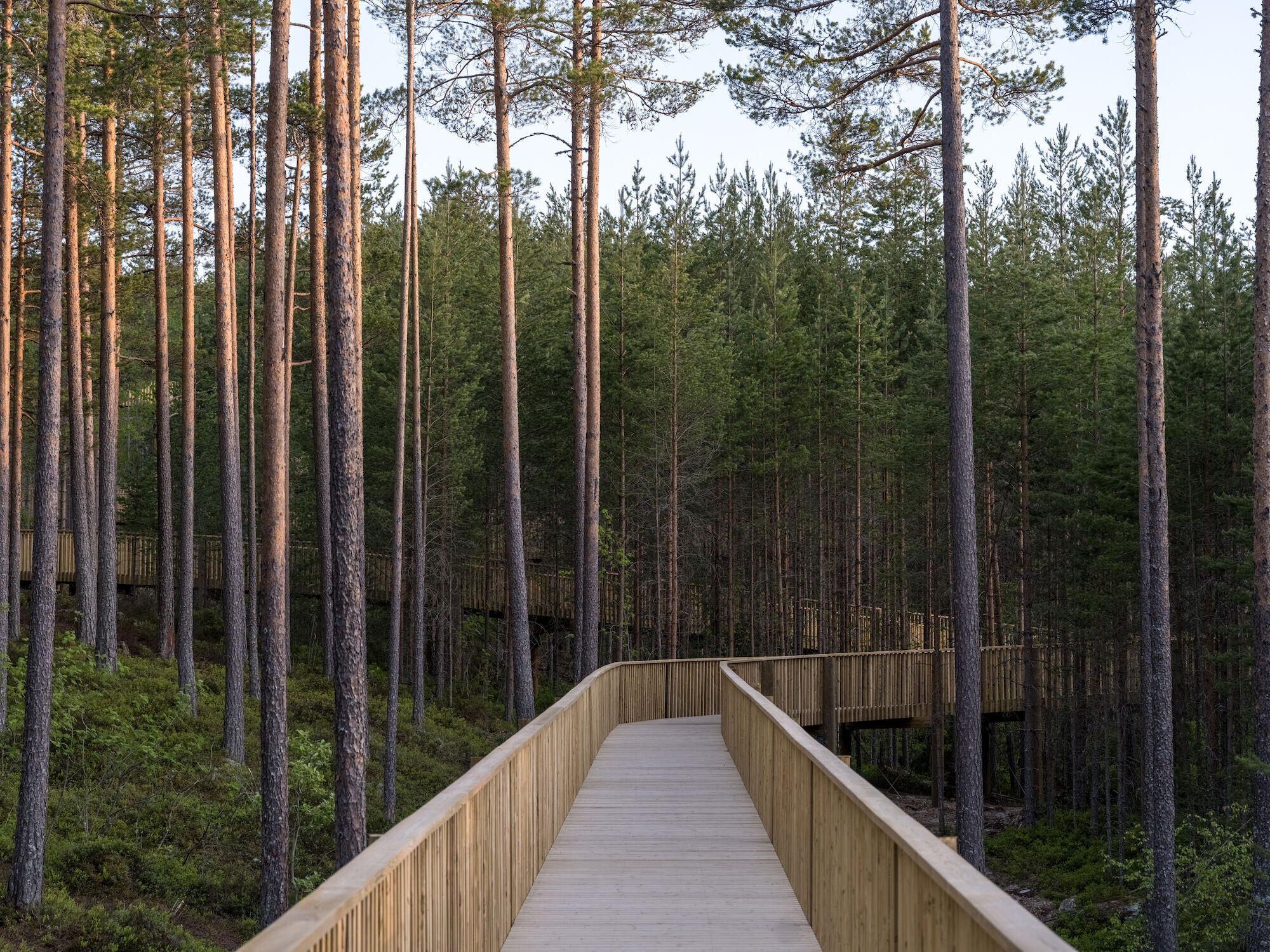 https://archello.com/story/129603/attachments/photos-videos/20 photo_credit Rasmus Hjortshøj
