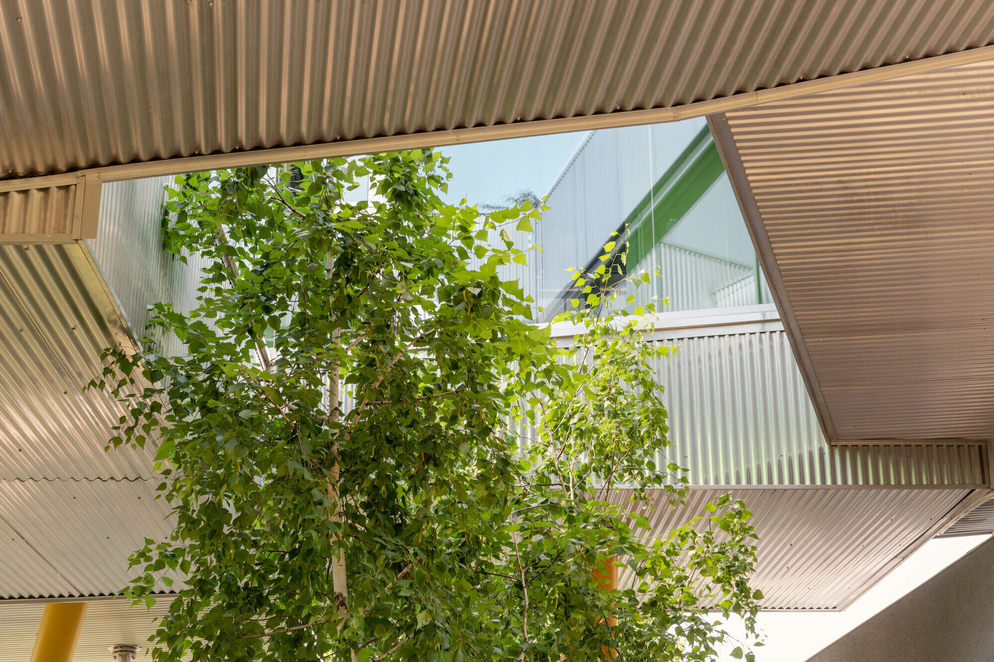 https://archello.com/story/129598/attachments/photos-videos/20 photo_credit Anna Positano, Gaia Cambiaggi | Studio Campo