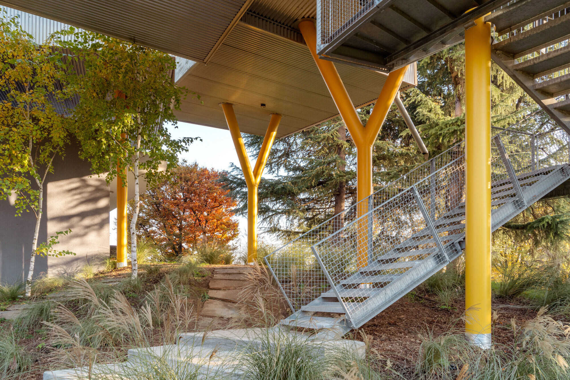 https://archello.com/story/129598/attachments/photos-videos/27 photo_credit Anna Positano, Gaia Cambiaggi | Studio Campo