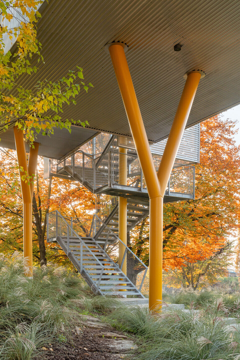 https://archello.com/story/129598/attachments/photos-videos/28 photo_credit Anna Positano, Gaia Cambiaggi | Studio Campo