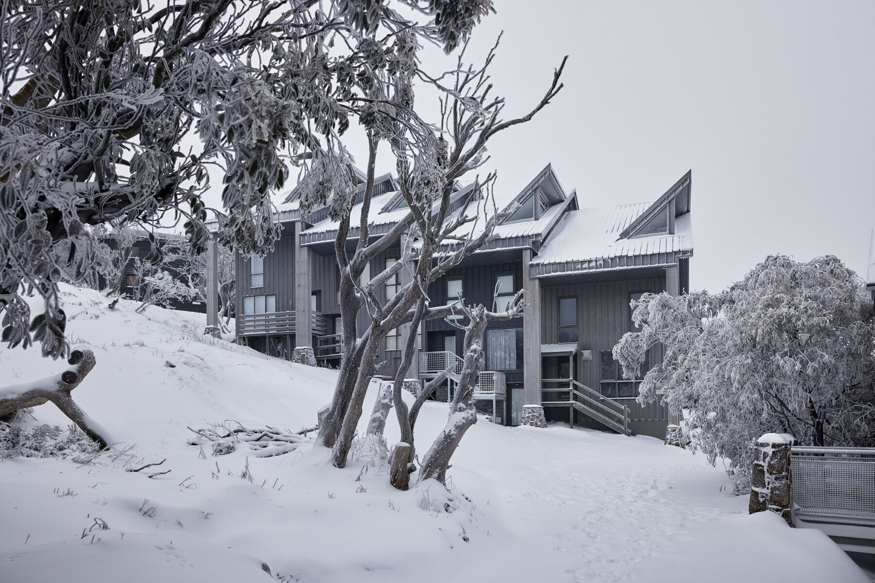 https://archello.com/story/129715/attachments/photos-videos/5 photo_credit Tess Kelly