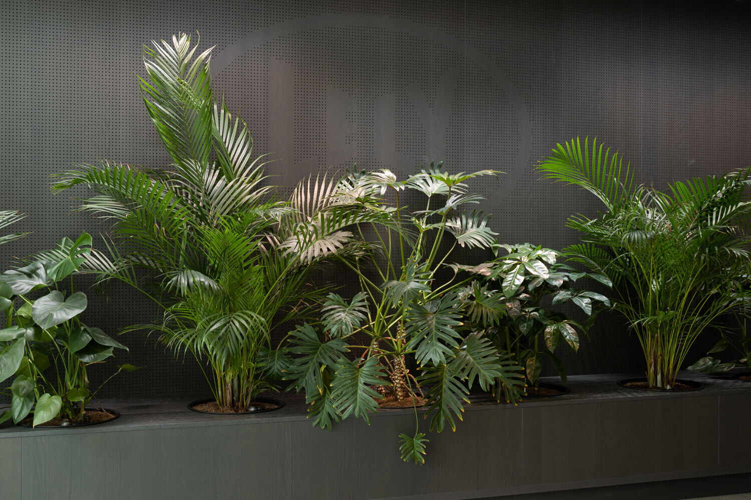 https://archello.com/story/131334/attachments/photos-videos/7 photo_credit Peter Tijhuis