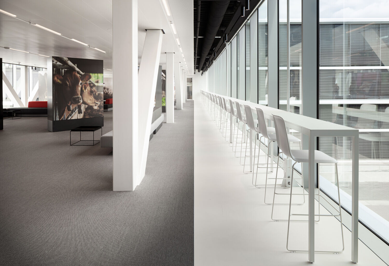 https://archello.com/story/131334/attachments/photos-videos/12 photo_credit Peter Tijhuis