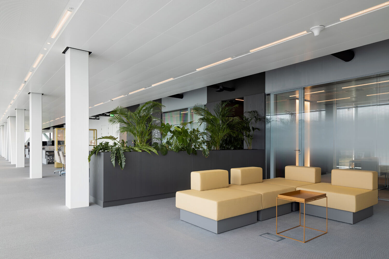 https://archello.com/story/131334/attachments/photos-videos/13 photo_credit Peter Tijhuis