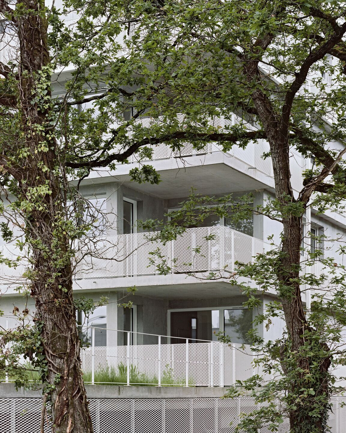 https://archello.com/story/131345/attachments/photos-videos/5 photo_credit Julien Hourcade