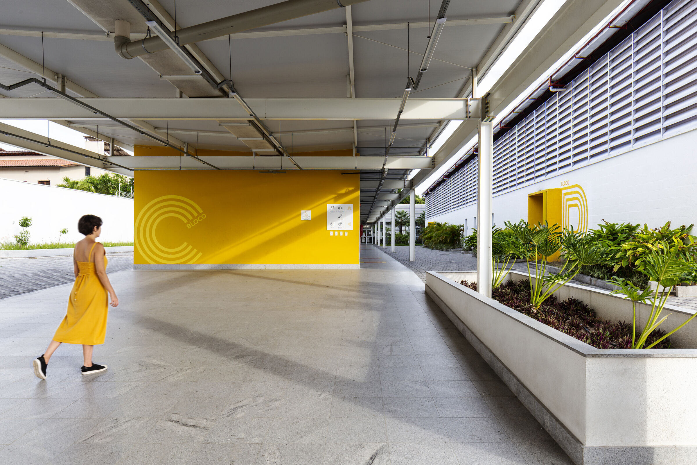 https://archello.com/story/131610/attachments/photos-videos/25 photo_credit Igor Ribeiro