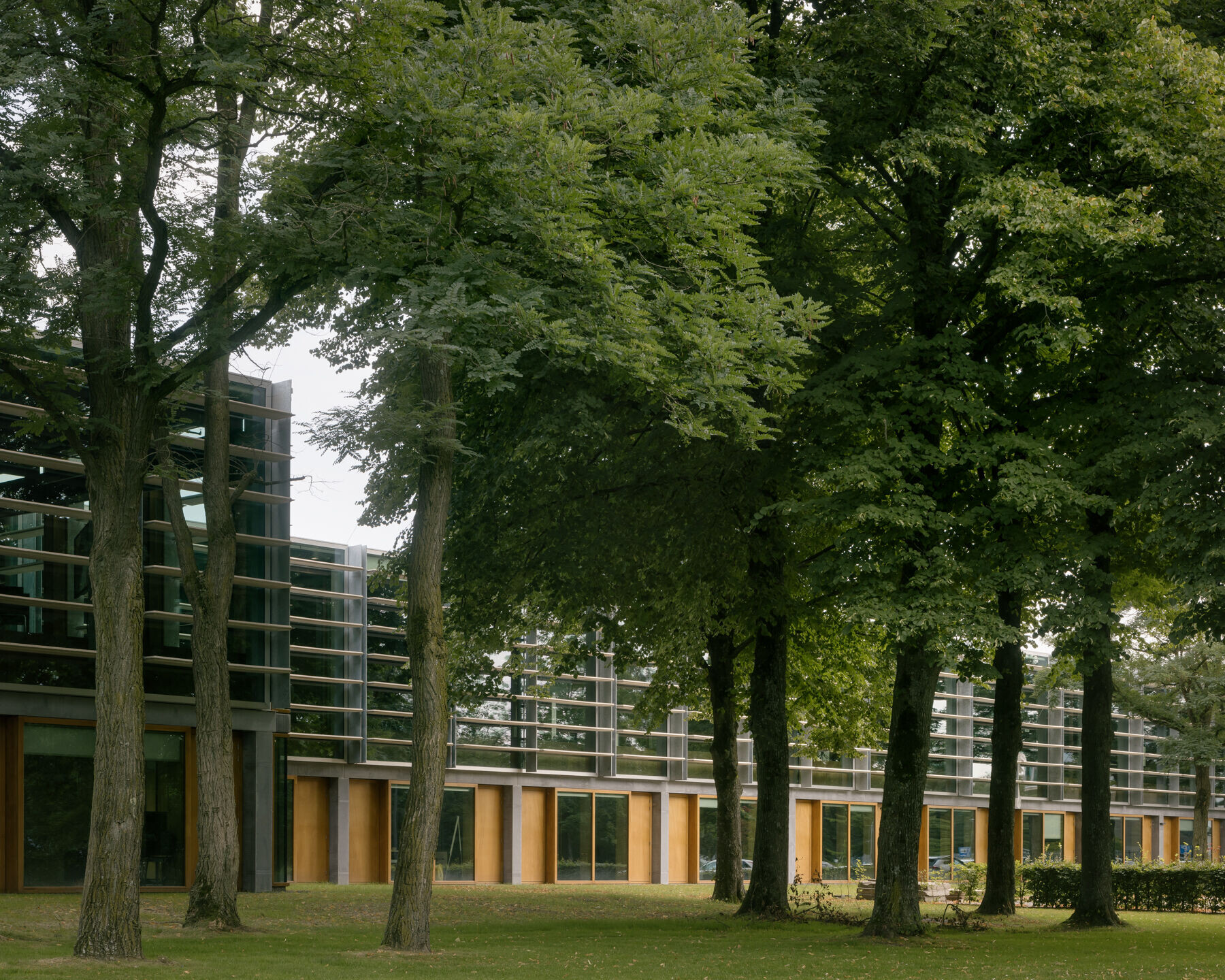 https://archello.com/story/122538/attachments/photos-videos/12 photo_credit Stijn Bollaert