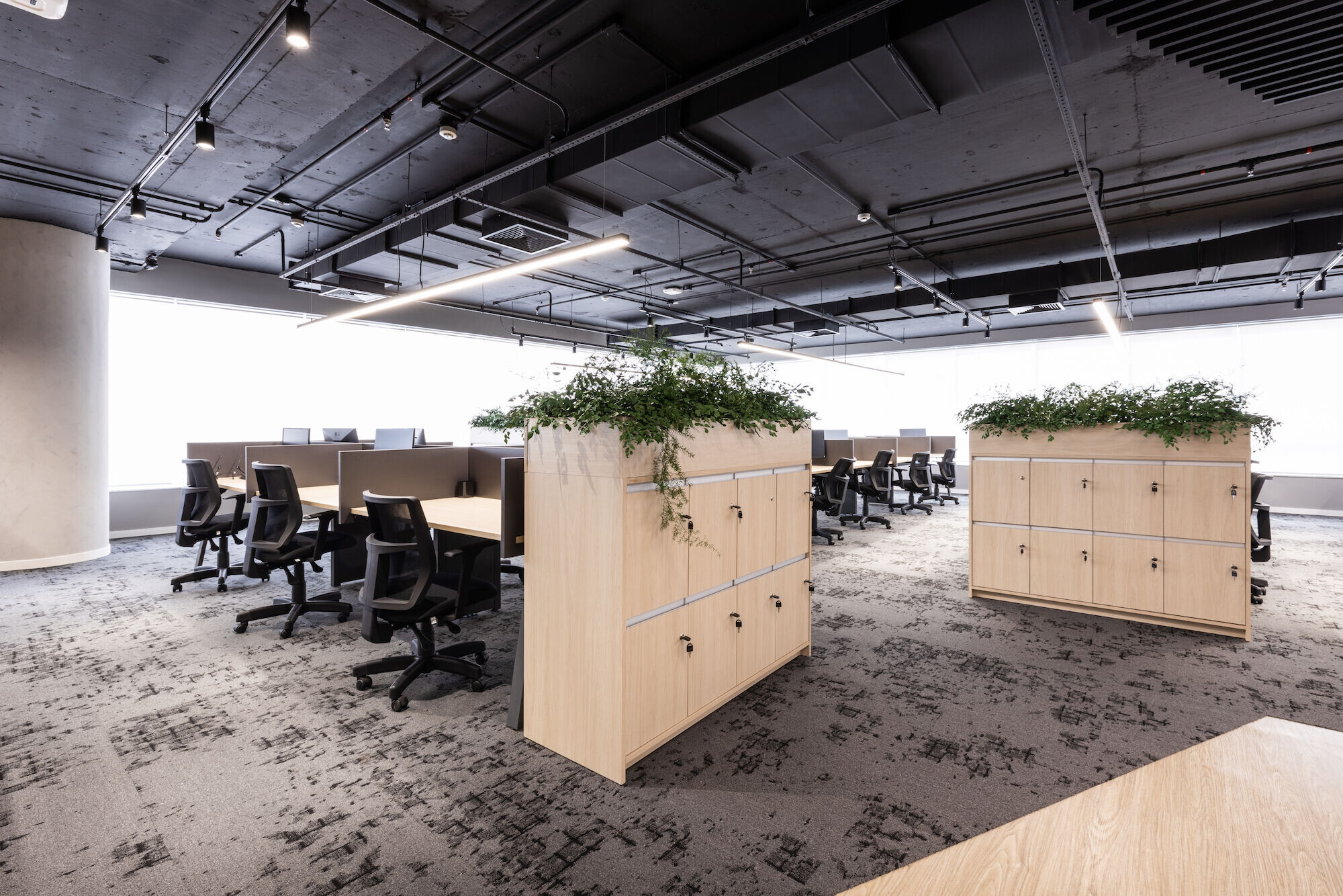 https://archello.com/story/131773/attachments/photos-videos/10 photo_credit Rene Paciullo