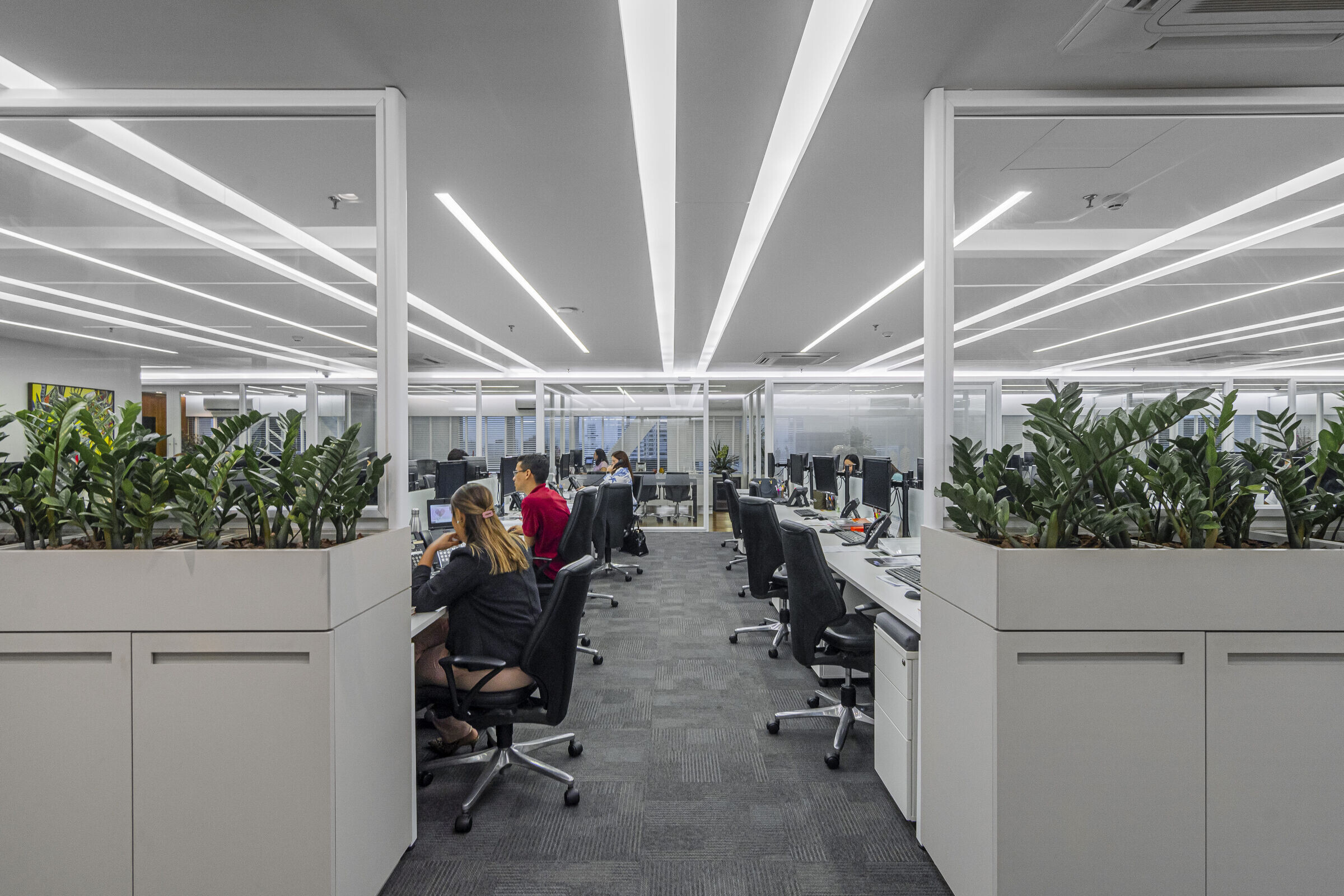 https://archello.com/story/132024/attachments/photos-videos/7 photo_credit Felipe Petrovsky