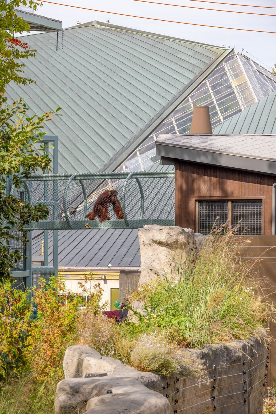 https://archello.com/story/132065/attachments/photos-videos/16 photo_credit Lorne Bridgman for Zeidler Architecture