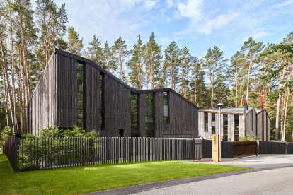 Houses in forest