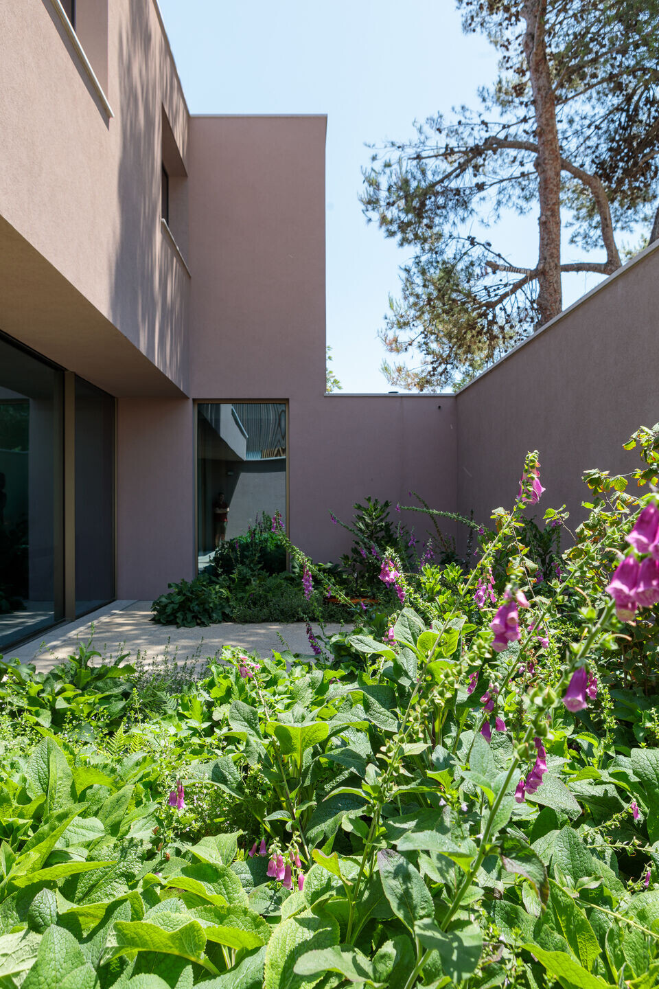https://archello.com/story/132302/attachments/photos-videos/7 photo_credit Nuno Almendra
