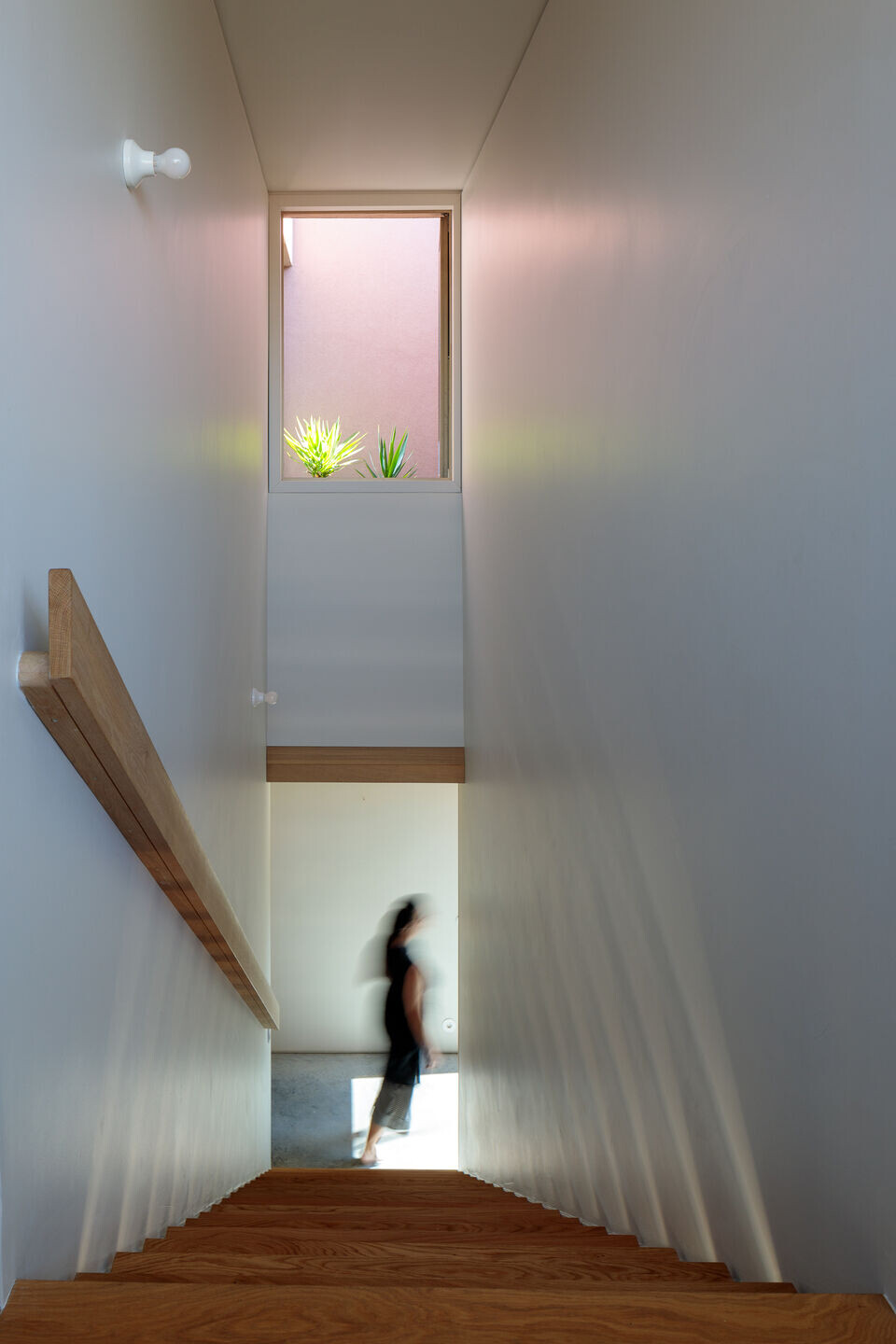 https://archello.com/story/132302/attachments/photos-videos/10 photo_credit Nuno Almendra