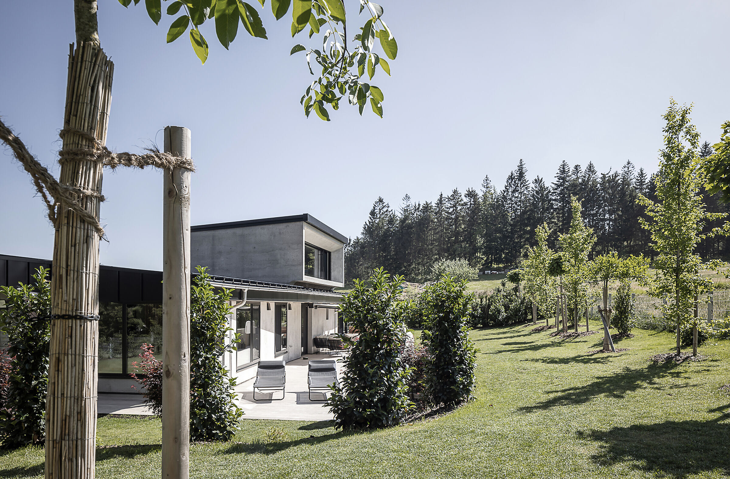https://archello.com/story/132424/attachments/photos-videos/12 photo_credit FACE | Rainer Täpper