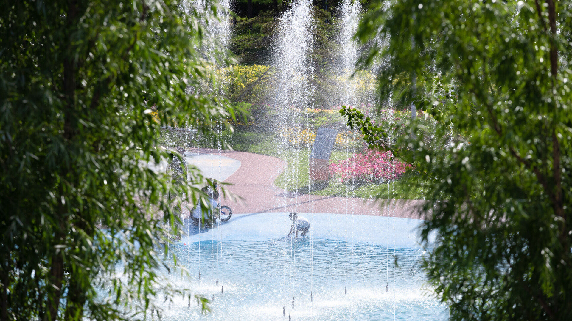 https://archello.com/story/132314/attachments/photos-videos/14 photo_credit Holi Landscape Photography