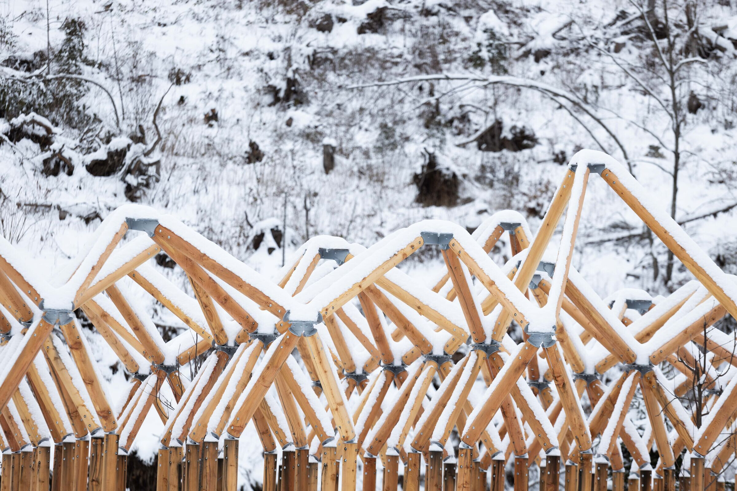 https://archello.com/story/132601/attachments/photos-videos/6 photo_credit Giacomo Bianchi