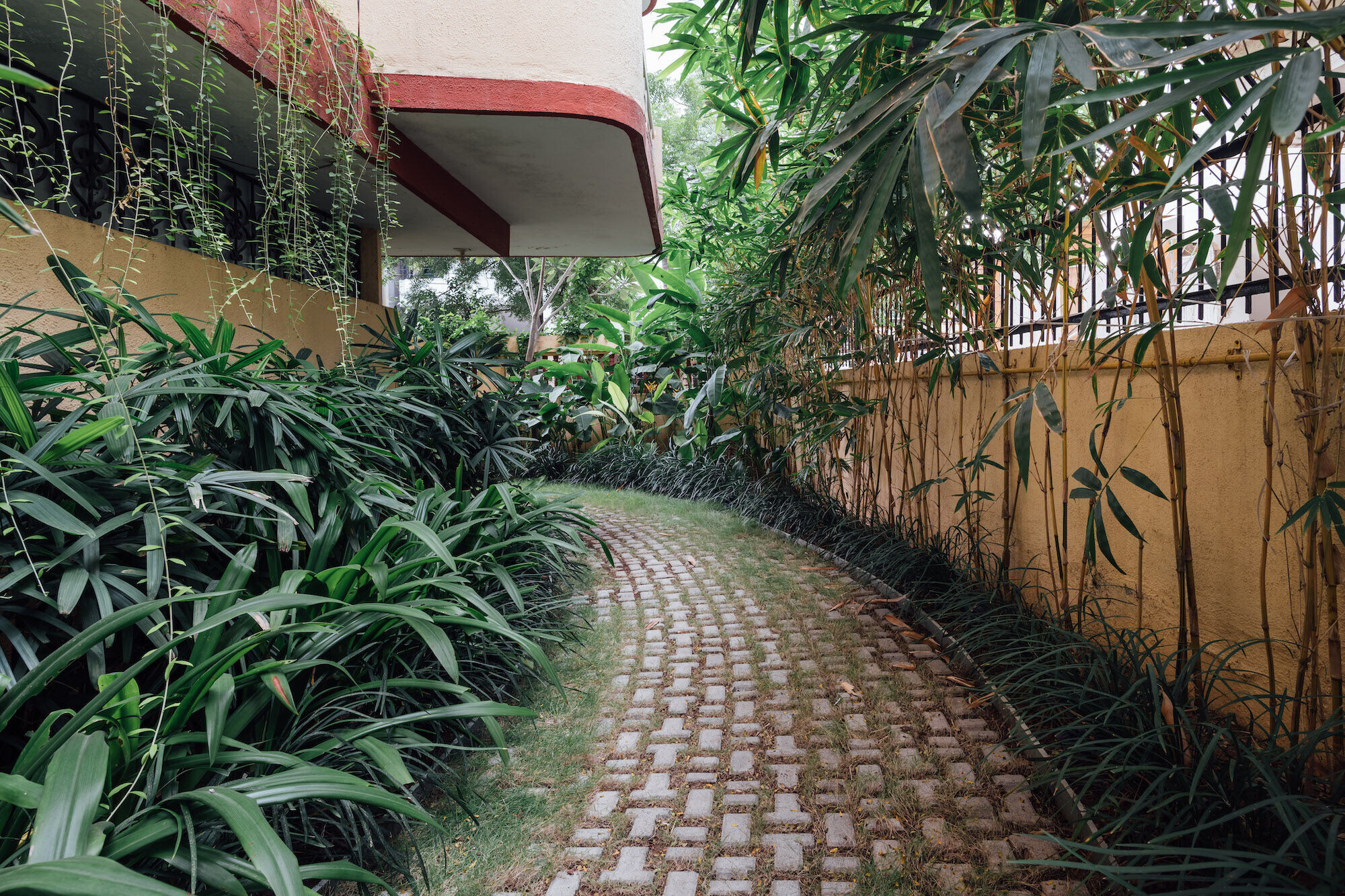 https://archello.com/story/132651/attachments/photos-videos/20 photo_credit Ishita Sitwala