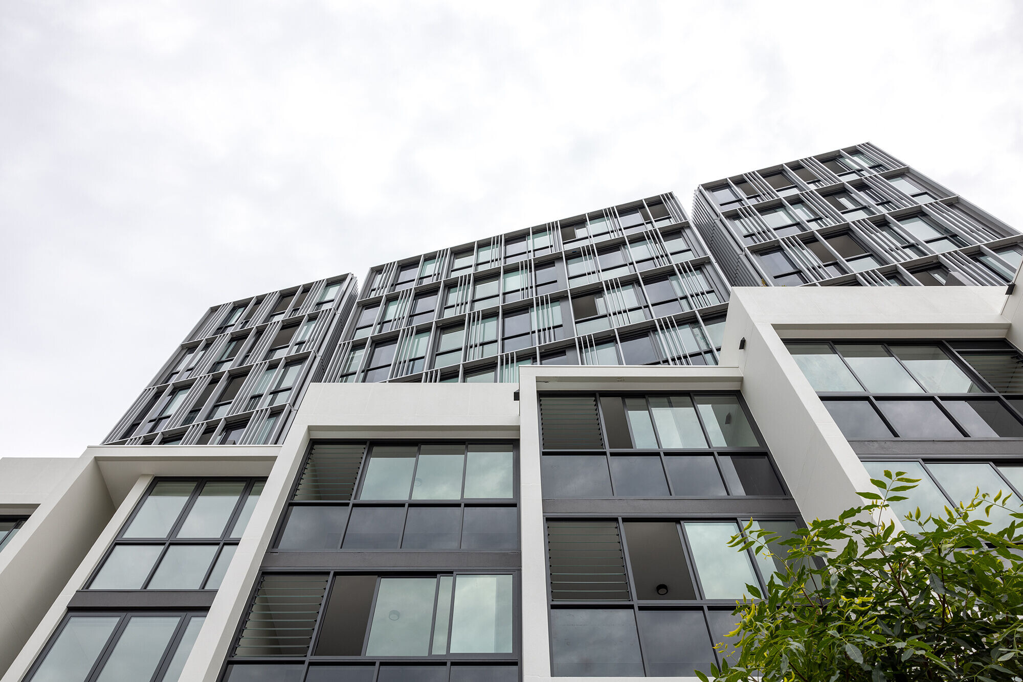 https://archello.com/story/132819/attachments/photos-videos/10 photo_credit Sara Vita Photography