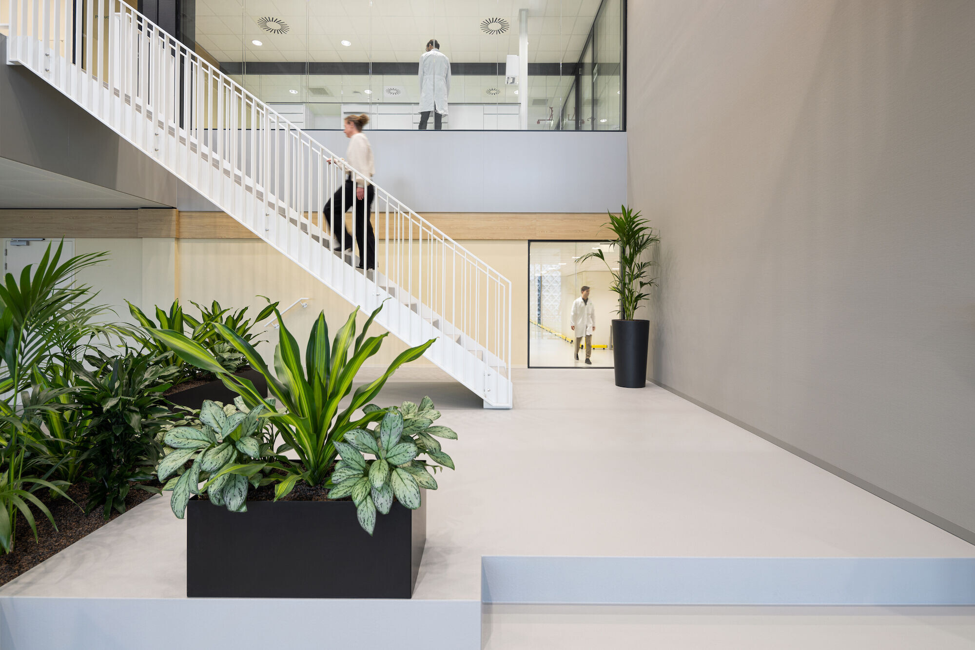 https://archello.com/story/132963/attachments/photos-videos/21 photo_credit Stijn Poelstra