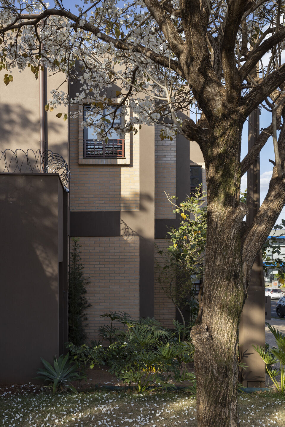 https://archello.com/story/133000/attachments/photos-videos/28 photo_credit Carolina Mossin