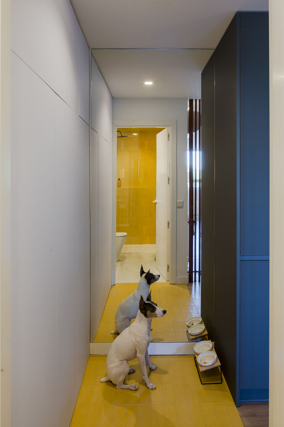 https://archello.com/story/133094/attachments/photos-videos/14 photo_credit Imagen Subliminal