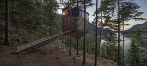 Woodnest