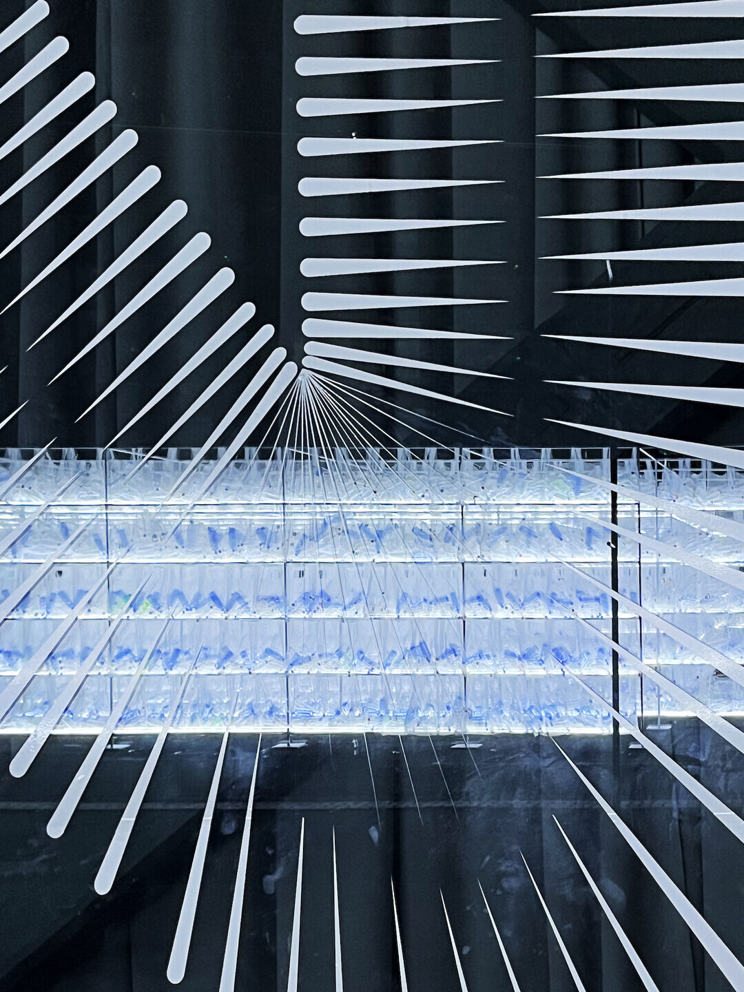 https://archello.com/story/133092/attachments/photos-videos/19 photo_credit Melisa Hernández