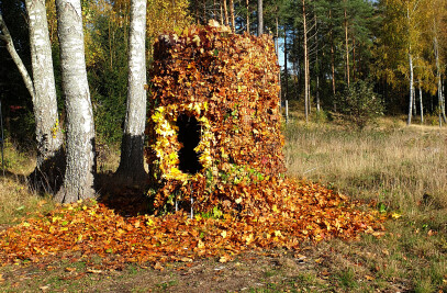 Leaf Hut