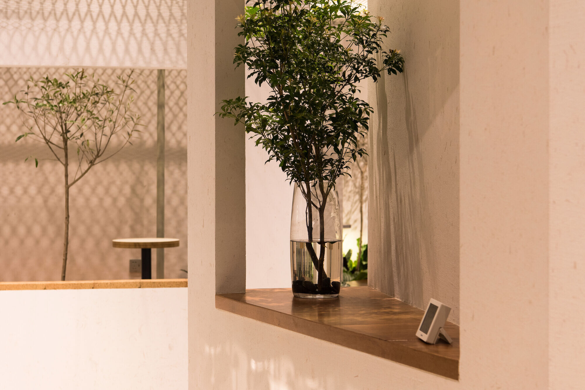 https://archello.com/story/133305/attachments/photos-videos/23 photo_credit Shiyun Qian