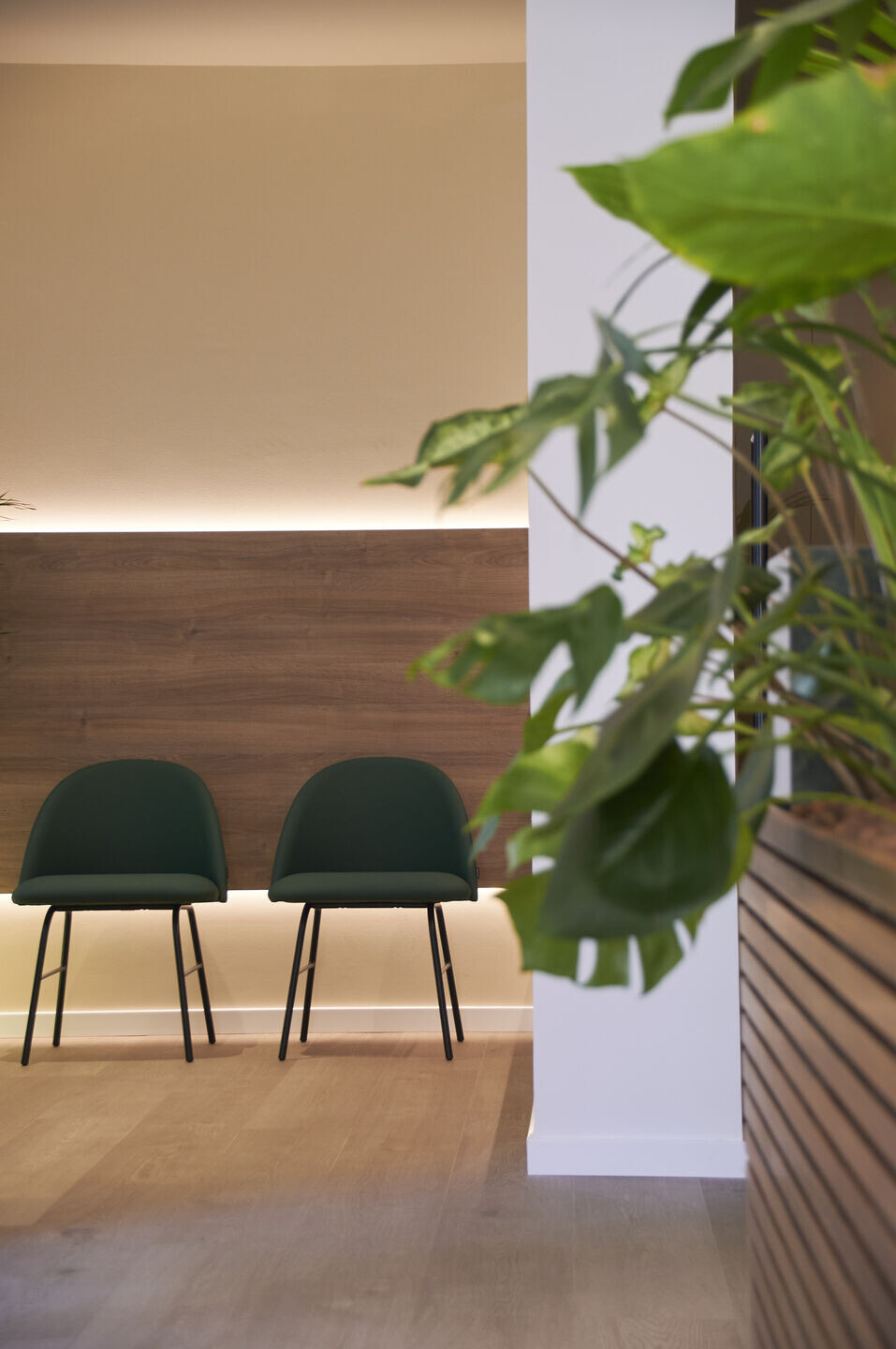 https://archello.com/story/133443/attachments/photos-videos/11 photo_credit SANTIAGO MARTÍN, HILKE SIEVERS