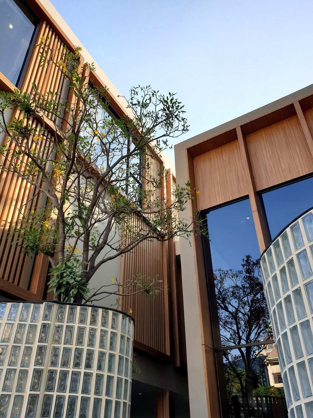 https://archello.com/story/133523/attachments/photos-videos/4 photo_credit Openbox Architects