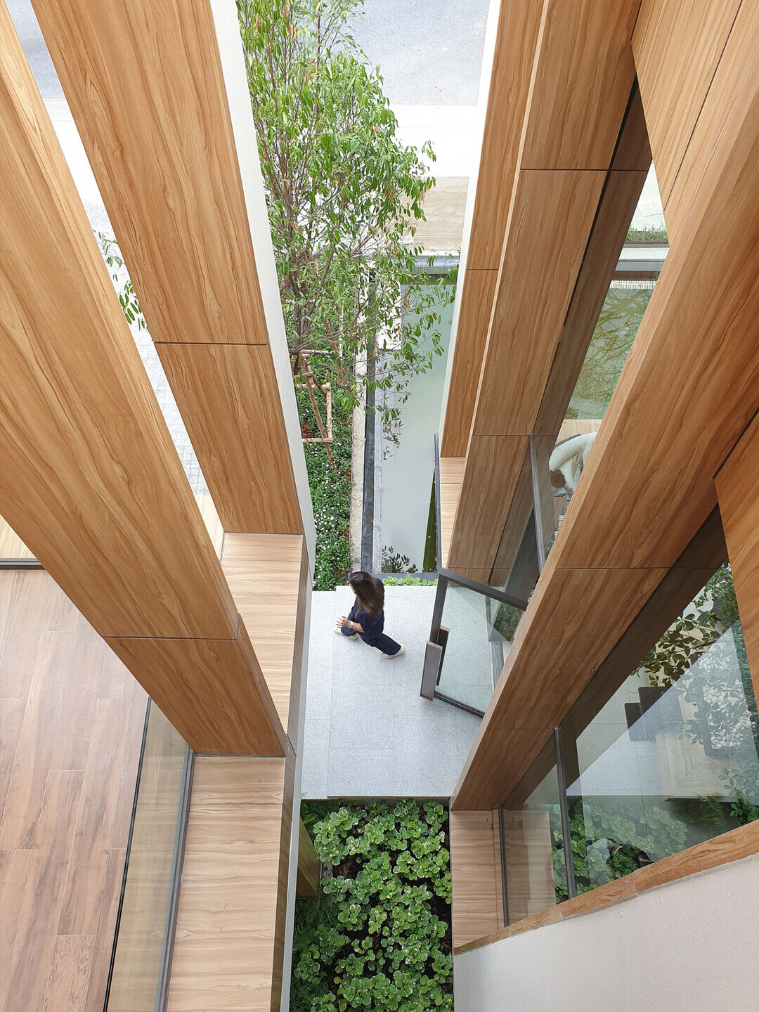 https://archello.com/story/133523/attachments/photos-videos/5 photo_credit Openbox Architects