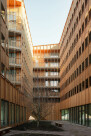 jonas-orange-architects-amvest-21-patio-sebastian-van-damme.jpg