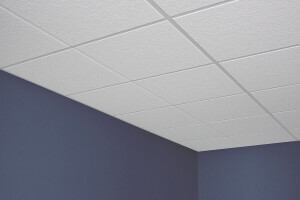 USG Eclipse™ Illusion™ Acoustical Panels