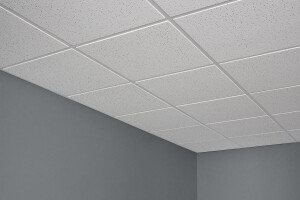 USG Fissured™ Basic Acoustical Panels