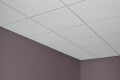 USG Frost™ Acoustical Panels