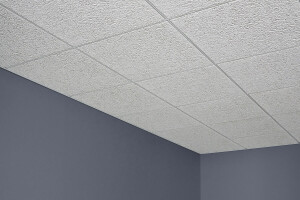 USG Glacier™ Basic Acoustical Panels