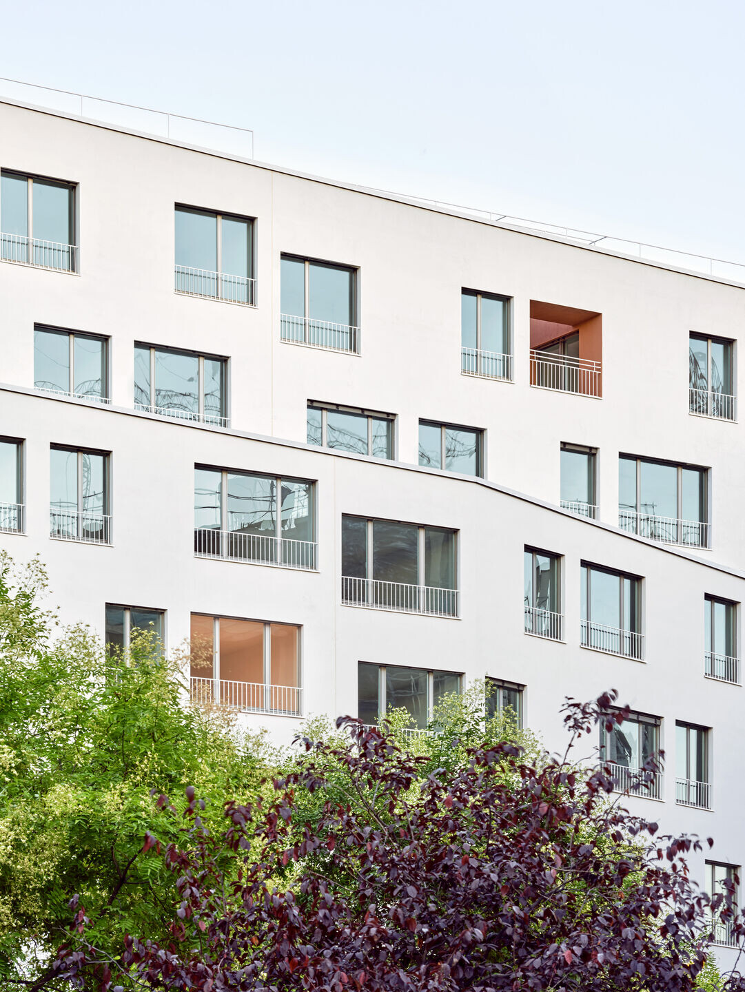 https://archello.com/story/133772/attachments/photos-videos/4 photo_credit José Hevia